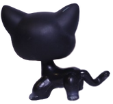 #0994 Shorthair Cat